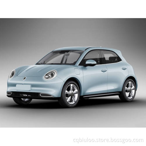 2022 New Car New Energy Vehicle price Hot Selling Chinese Electric Car Euler good cat 401km standard endurance type Electric Car